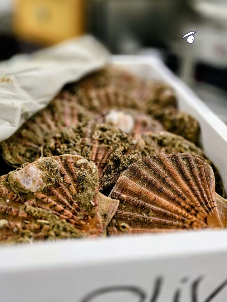 Producto de mar fresco en su bandeja