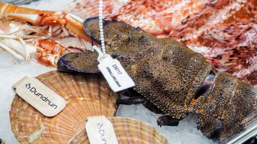 Pescado y marisco fresco en el expositor de Ses Oliveres port de Sóller