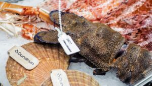 Pescado y marisco fresco en el expositor de Ses Oliveres port de Sóller