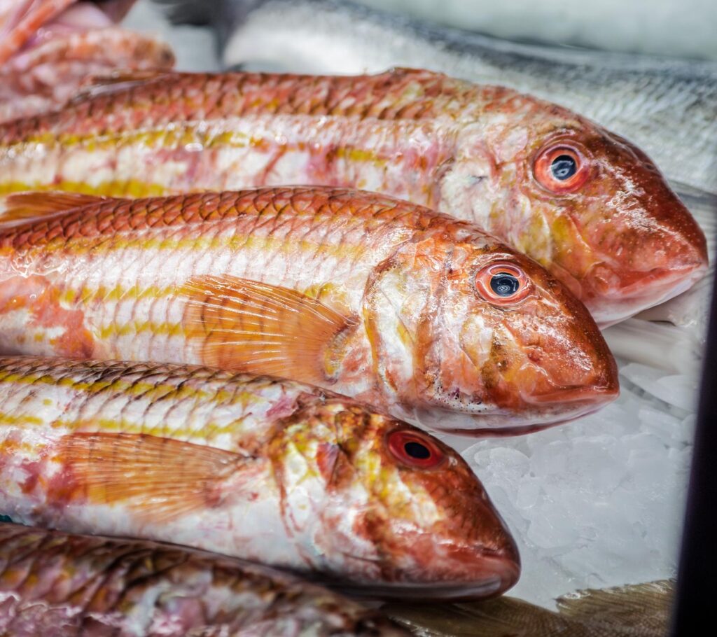 Salmonete fresco en Ses Oliveres Port de Sóller