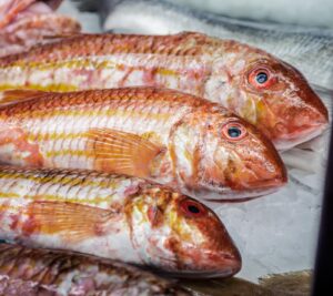 Salmonete fresco en Ses Oliveres Port de Sóller
