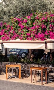 Restaurante Ses Oliveres con buganvilias sobre su terraza exterior