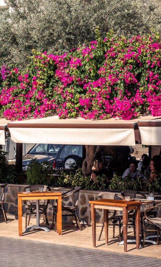 Restaurante Ses Oliveres con buganvilias sobre su terraza exterior